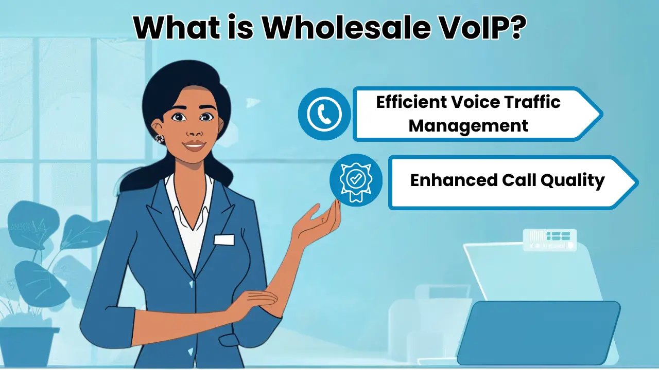 What is Wholesale VoIP?