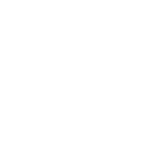 Voice Fraud Detection