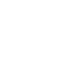 Virtual Phone Number